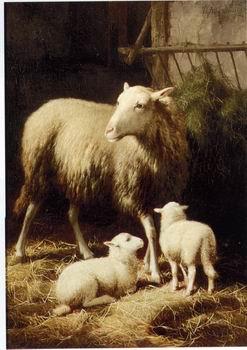 unknow artist Sheep 057 oil painting image